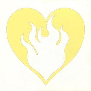 女生100%曝光率可以直接看
