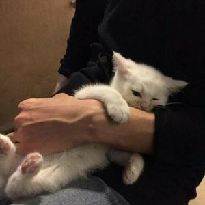 女生100%曝光率可以直接看
