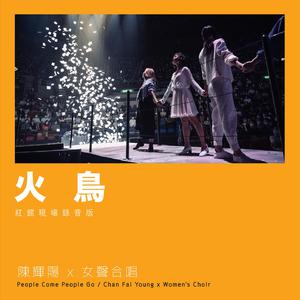 女生100%曝光率可以直接看
